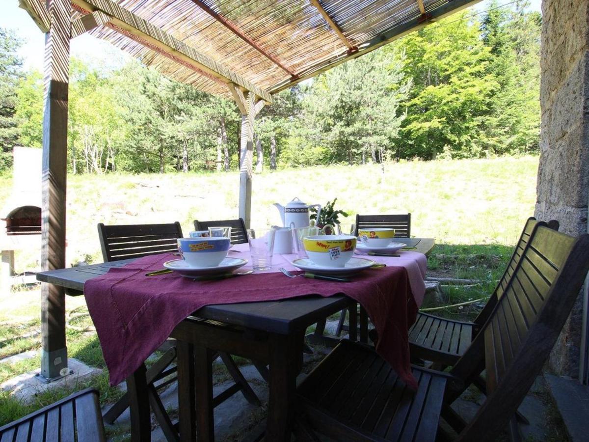 Gite Nature Au Chambon-Sur-Lignon: Terrasse, Wifi, Proche Activites Et Commerces - Fr-1-582-137 Le Chambon-sur-Lignon Exteriör bild
