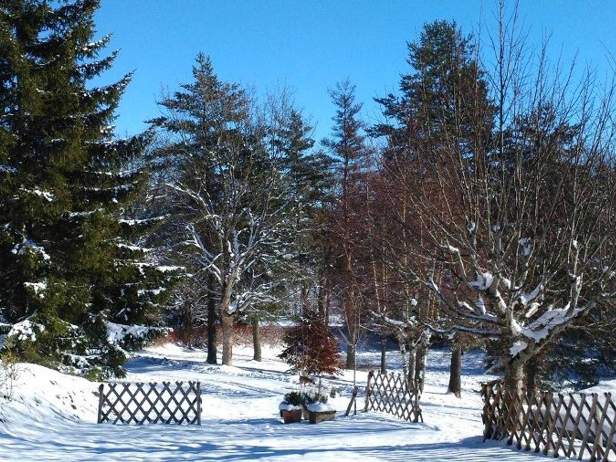 Gite Nature Au Chambon-Sur-Lignon: Terrasse, Wifi, Proche Activites Et Commerces - Fr-1-582-137 Le Chambon-sur-Lignon Exteriör bild