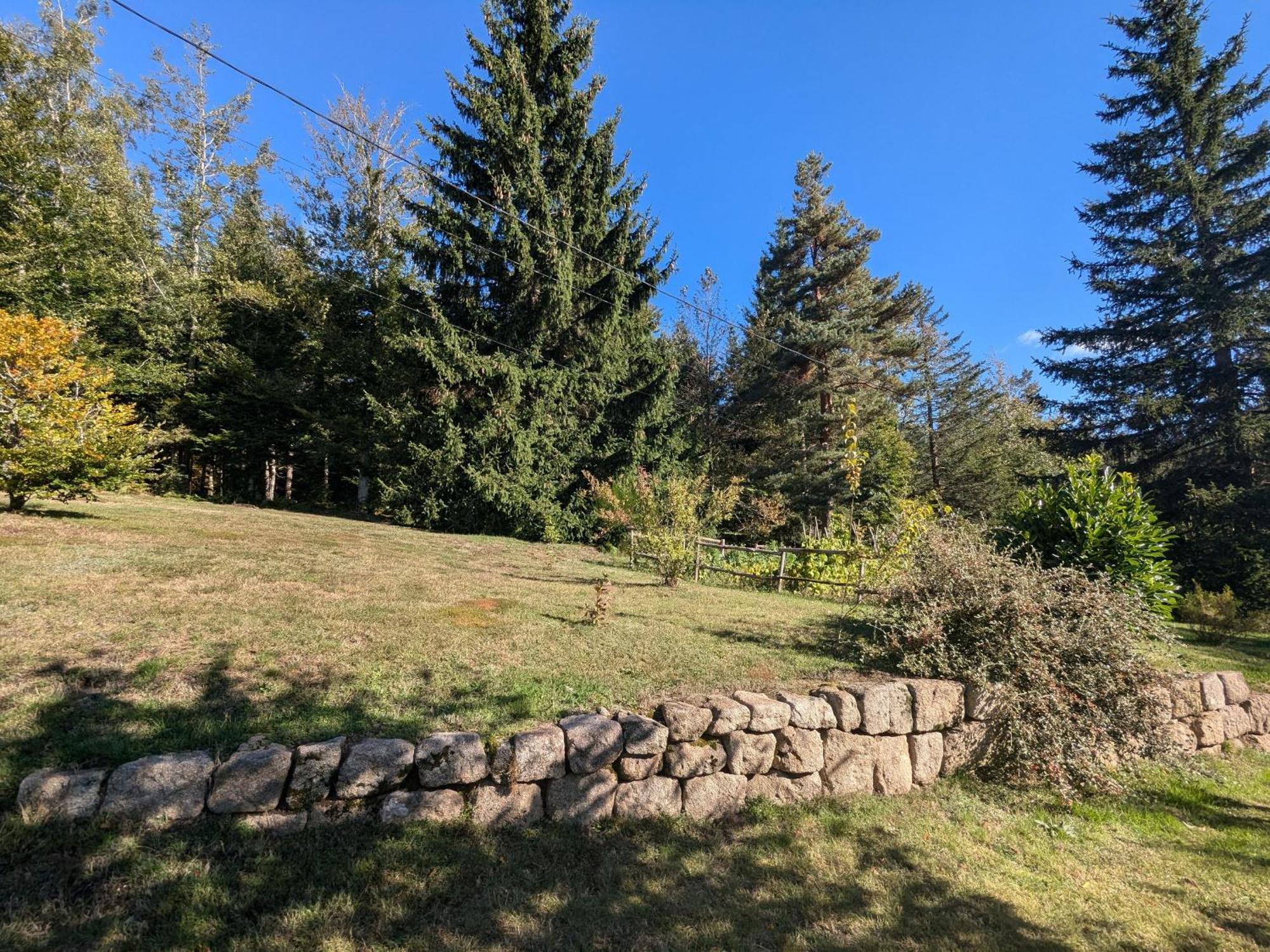 Gite Nature Au Chambon-Sur-Lignon: Terrasse, Wifi, Proche Activites Et Commerces - Fr-1-582-137 Le Chambon-sur-Lignon Exteriör bild
